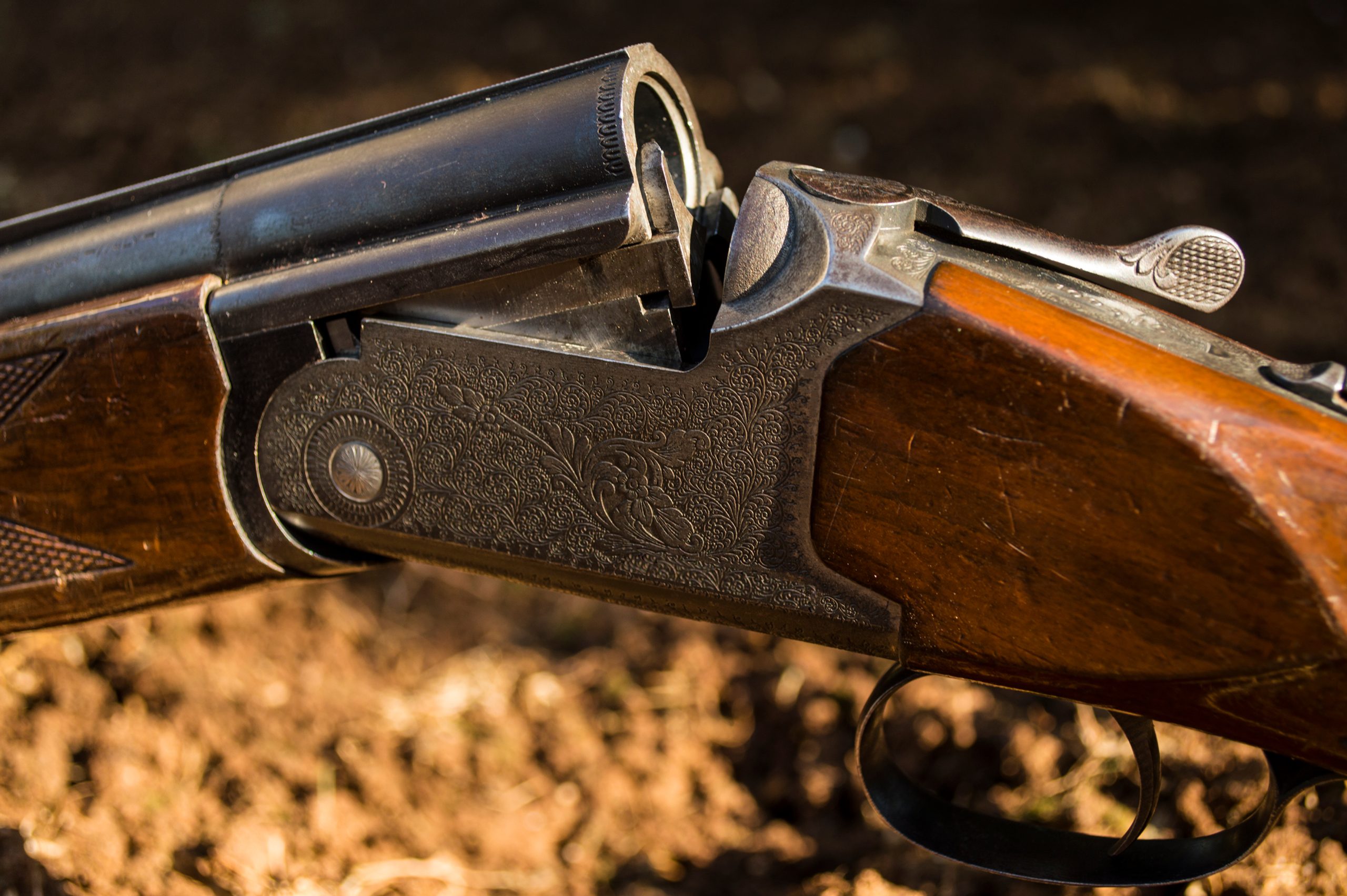 Shotgun in the field
